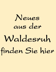 News News
